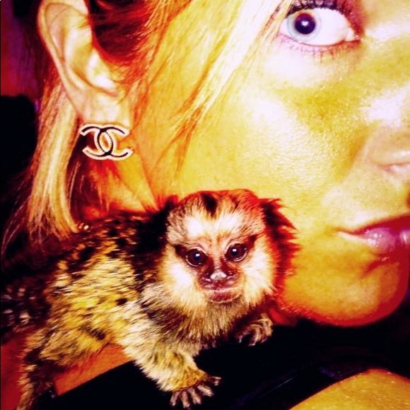 ⭐️GET TO KNOW ME YALL⭐️ POSHMARK AMBASSADOR II STATUS⭐️PUT A FACE TO MY CLOSET⭐️ - Picture 5 of 10